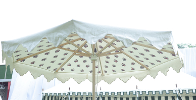 Canopies 10