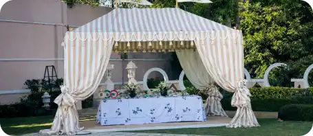 Canopy - Gallery 3
