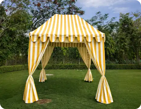 Canopy - Gallery 5