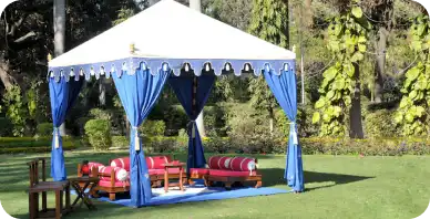 Canopy - Gallery 7