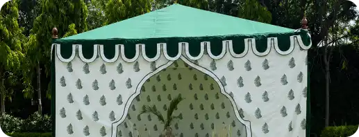 Canopy - Gallery 6